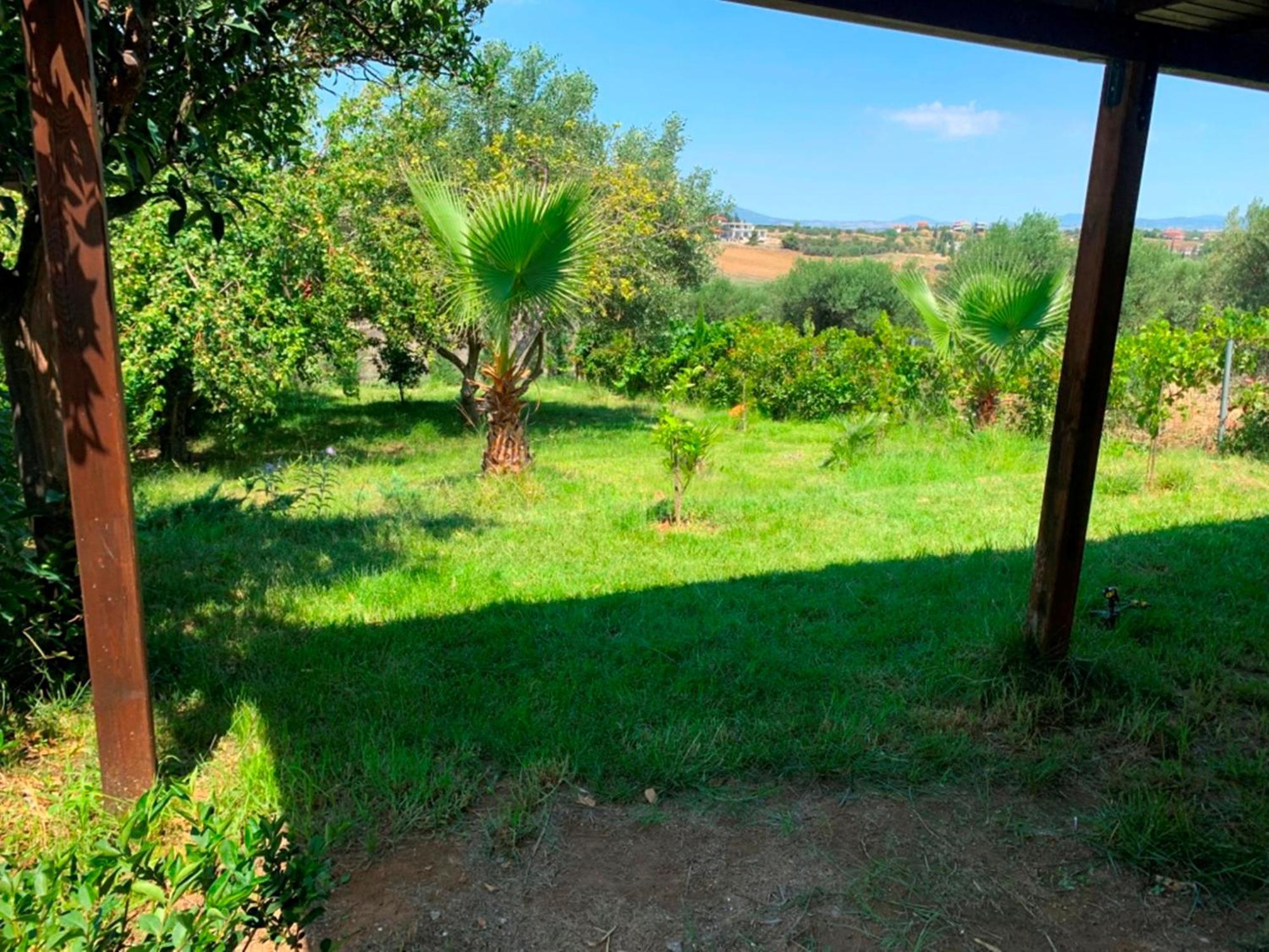 ניאה מודאניה Villa Laskari Sea View מראה חיצוני תמונה